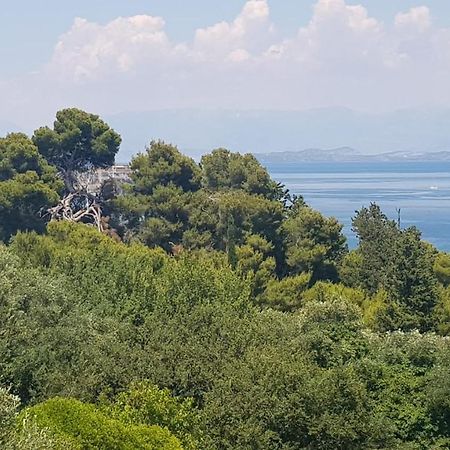 Апартаменты Mon Repos Panorama Corfu  Экстерьер фото